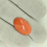 Imperial Japanese Coral Gemstone – JCR-002 | Natural Red Coral from Japan - Image 2