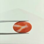 Imperial Japanese Coral Gemstone – JCR-002 | Natural Red Coral from Japan - Image 4