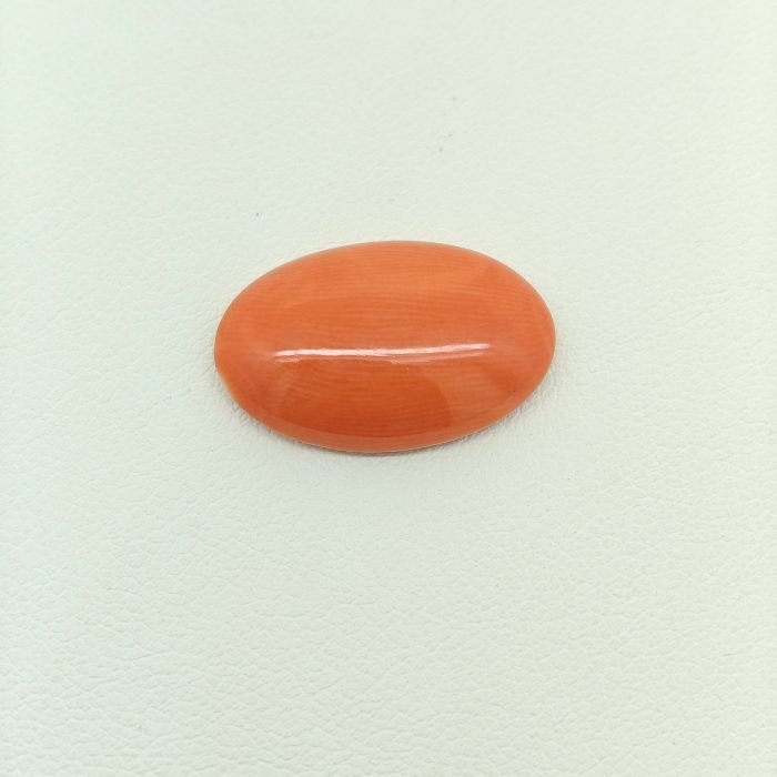 Japanese Coral JCR-002 featuring a vibrant natural red coral gemstone with smooth polished texture and exceptional organic beauty.