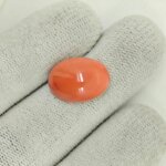 Japanese Coral Gemstone – JCR-003 | Natural Red Coral from Japan - Image 2
