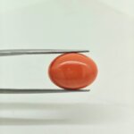 Japanese Coral Gemstone – JCR-003 | Natural Red Coral from Japan - Image 3