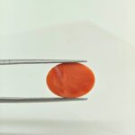 Japanese Coral Gemstone – JCR-003 | Natural Red Coral from Japan - Image 4