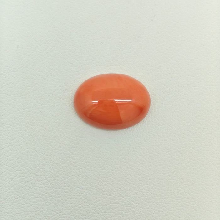 Japanese Coral JCR-003 featuring a vibrant natural red coral gemstone with smooth polished texture and radiant organic beauty.