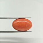 Prestige Japanese Coral Gemstone – JCR-004 | Natural Red Coral from Japan - Image 3