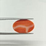Prestige Japanese Coral Gemstone – JCR-004 | Natural Red Coral from Japan - Image 2