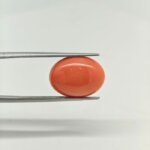 apanese Coral JCR-005 (Munga Stone) featuring a vibrant natural red coral gemstone with smooth polished texture and exceptional organic brilliance.