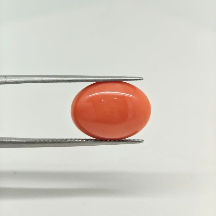 apanese Coral JCR-005 (Munga Stone) featuring a vibrant natural red coral gemstone with smooth polished texture and exceptional organic brilliance.