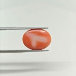 Regal Japanese Coral Gemstone – JCR-005 - Image 2