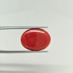 Japanese Red Coral Gemstone – JCR-006 | Natural Coral from Japan - Image 2