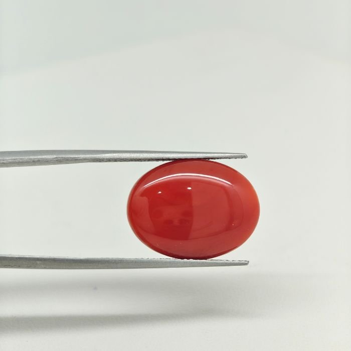 Japanese Coral JCR-006 (Natural Red Coral Munga Stone) featuring a vibrant natural red coral gemstone with smooth polished texture and exceptional organic brilliance.