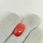 Japanese Red Coral Gemstone – JCR-007 | Certified Natural Coral from Japan - Image 2