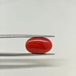 Japanese Red Coral Gemstone – JCR-007 | Certified Natural Coral from Japan - Image 3