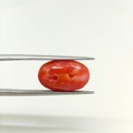 Japanese Red Coral Gemstone – JCR-007 | Certified Natural Coral from Japan - Image 4