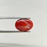 Natural Japanese Coral Gemstone – JCR-008 | Premium Red Coral from Japan - Image 2