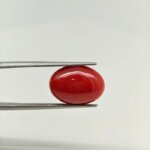 Japanese Coral JCR-008 (Natural Red Coral Munga Stone) featuring a vibrant natural red coral gemstone with smooth polished texture and exceptional organic brilliance.