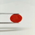Premium Japanese Red Coral Gemstone – JCR-009 | Certified Natural Coral from Japan - Image 2
