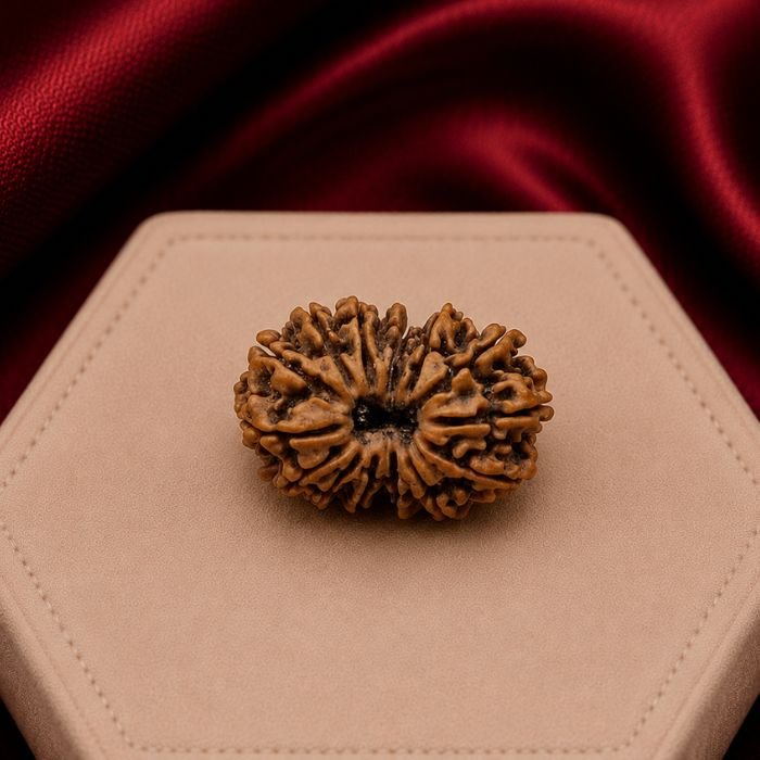Loose Rudraksha beads featuring natural textured surfaces with authentic mukhi lines and earthy spiritual charm.