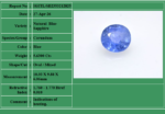 Natural Ceylon Blue Sapphire Gemstone - Image 6