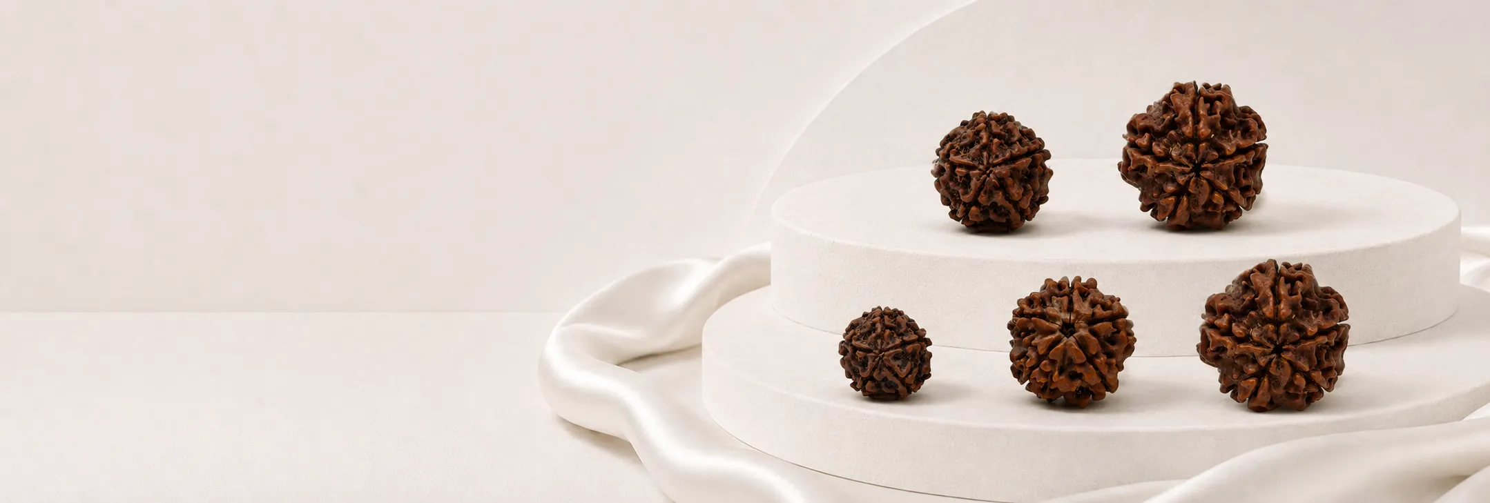 5 Mukhi Rudraksha