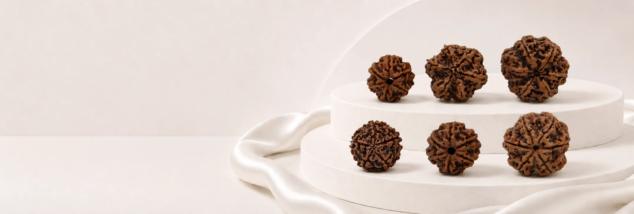 6 Mukhi rudraksha