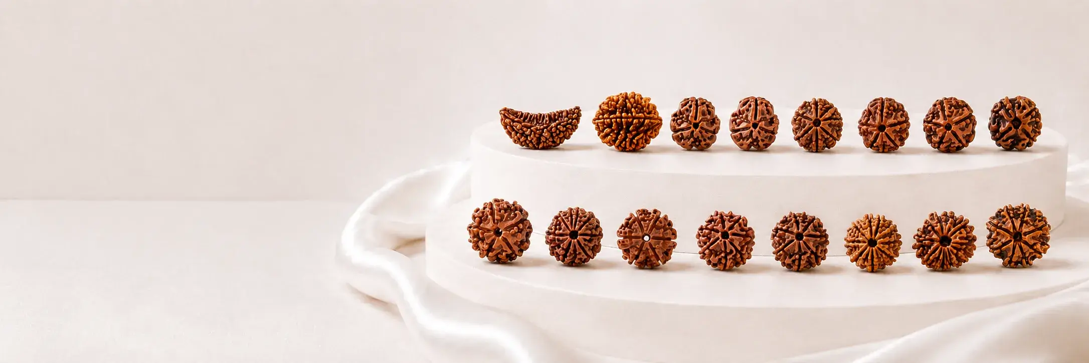 Loose rudraksha