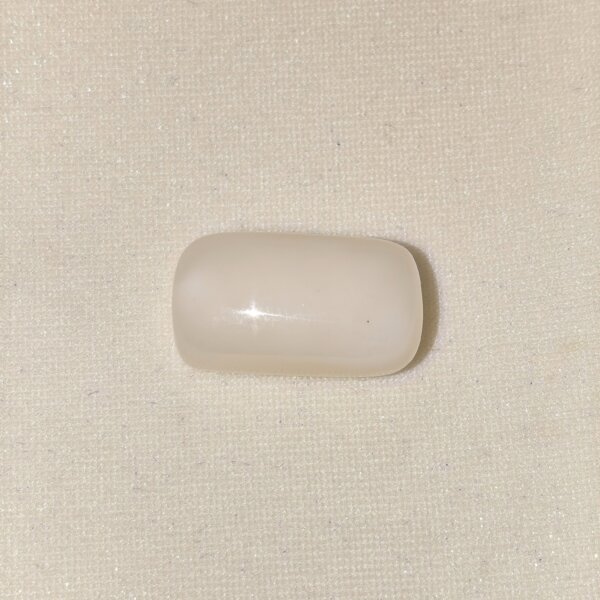 Natural White Coral Gemstone 23.55 Carat Oval Cabochon Lab Certified in South Extension Delhi
