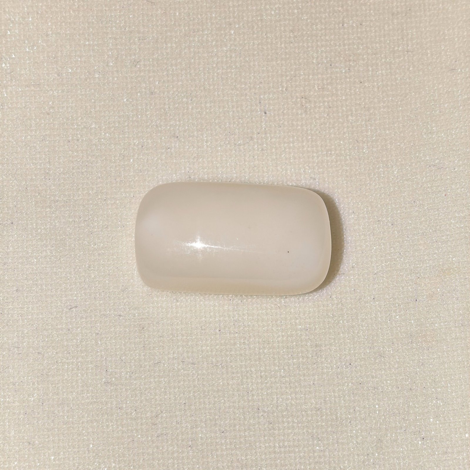 Natural White Coral 23.55 Carat Oval Cabochon Stone Natural White Coral Gemstone 23.55 Carat Oval Cabochon Lab Certified in South Extension Delhi
