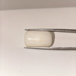 Natural White Coral Gemstone 19.70 Carat Oval Cabochon Loose Stone - Image 3
