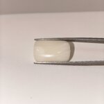 Natural White Coral Gemstone 19.70 Carat Oval Cabochon Loose Stone - Image 5