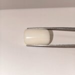 Natural 19.80 Carat Australian White Coral Oval Cabochon Certified Gemstone - Image 3