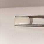 Natural 19.80 Carat Australian White Coral Oval Cabochon Certified Gemstone - Image 4
