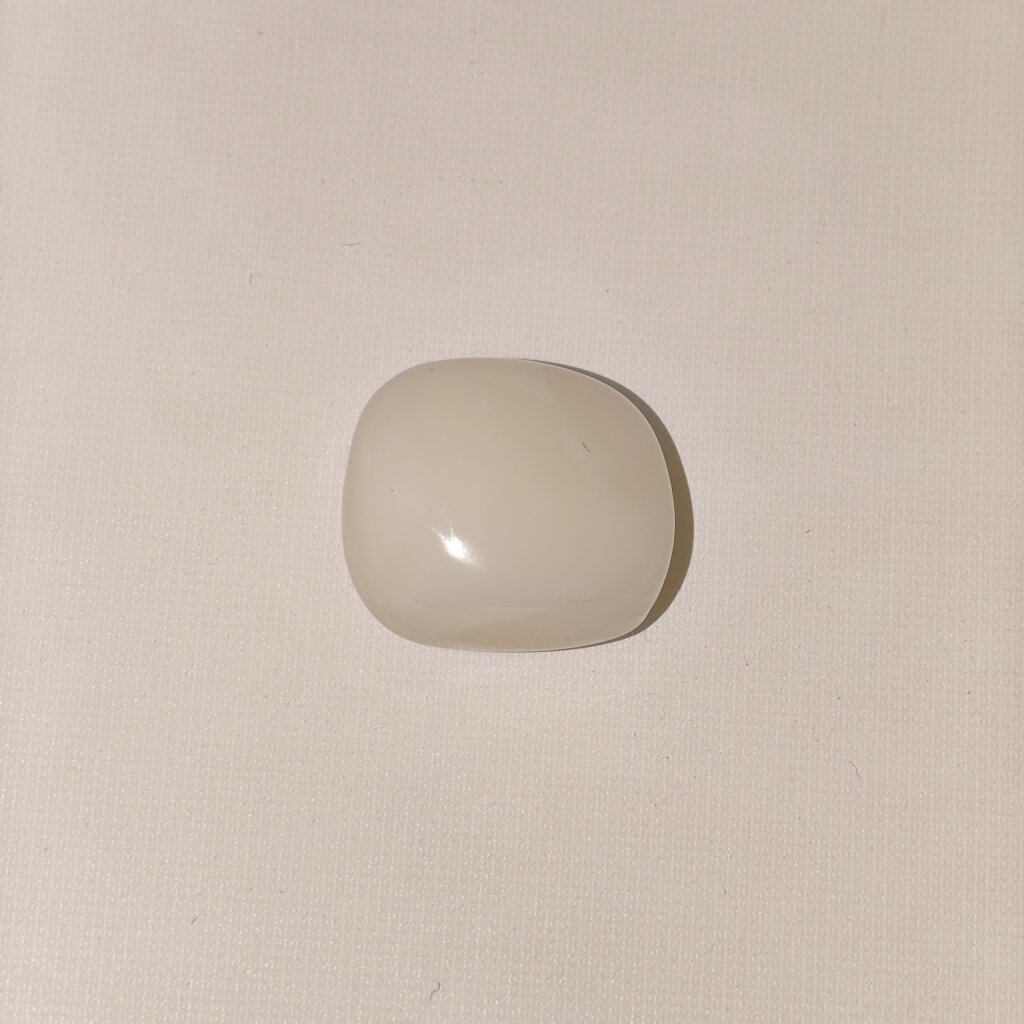 Natural White Coral (Safed Moonga) 18.70 Carat Oval Cabochon 100% Natural Lab Certified Gemstone from Shraddha Shree Gems India