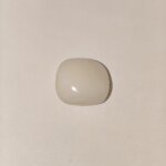 Natural White Coral (Safed Moonga) 18.70 Carat Oval Cabochon 100% Natural Lab Certified Gemstone from Shraddha Shree Gems India