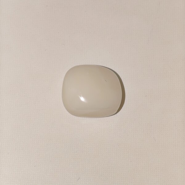 Natural White Coral (Safed Moonga) 18.70 Carat Oval Cabochon 100% Natural Lab Certified Gemstone from Shraddha Shree Gems India
