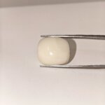 Natural White Coral 18.70 Carat Oval Cabochon Certified Gemstone - Image 3