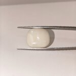 Natural White Coral 18.70 Carat Oval Cabochon Certified Gemstone - Image 4