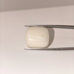 Natural White Coral 25.60 Carat Oval Cabochon Certified Gemstone - Image 3