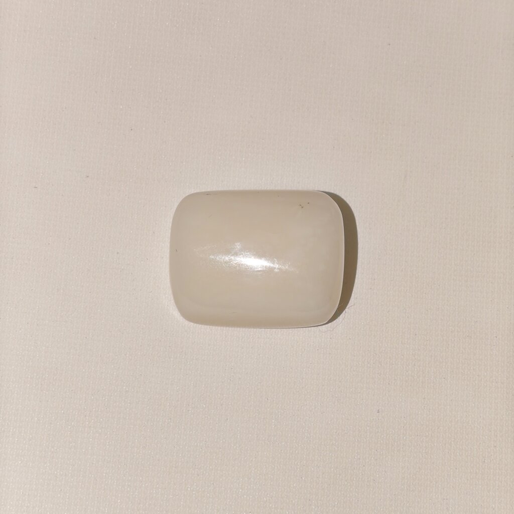 Natural White Coral Safed Moonga 20.30 Carat Oval Cabochon 100% Natural Lab Certified Gemstone from Shraddha Shree Gems India