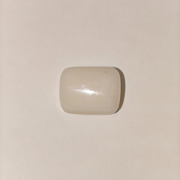 Natural White Coral Safed Moonga 20.30 Carat Oval Cabochon 100% Natural Lab Certified Gemstone from Shraddha Shree Gems India