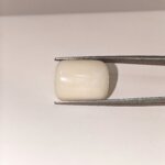 Natural White Coral 20.30 Carat Oval Cabochon Certified Gemstone - Image 3