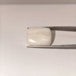 Natural White Coral 20.30 Carat Oval Cabochon Certified Gemstone - Image 5