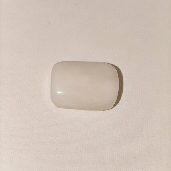 Natural White Coral Safed Moonga 23.05 Carat Oval Cabochon 100% Natural Lab Certified Gemstone from Shraddha Shree Gems India