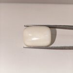 Natural White Coral 23.05 Carat Oval Cabochon Certified Gemstone - Image 3