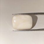 Natural White Coral 23.05 Carat Oval Cabochon Certified Gemstone - Image 4