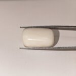 Natural White Coral 22 Carat Oval Cabochon Certified Gemstone - Image 3