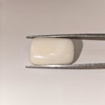Natural White Coral 22 Carat Oval Cabochon Certified Gemstone - Image 4
