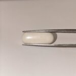 Natural White Coral 7.85 Carat Oval Cabochon Certified Gemstone - Image 5