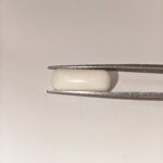 Natural White Coral 7.15 Carat Oval Cabochon Certified Gemstone - Image 3