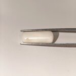 Natural White Coral 7.15 Carat Oval Cabochon Certified Gemstone - Image 5