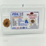 Original 13 Mukhi Nepal Rudraksha (Natural & Authentic) | Lab Certified Rudraksha Bead - Image 3